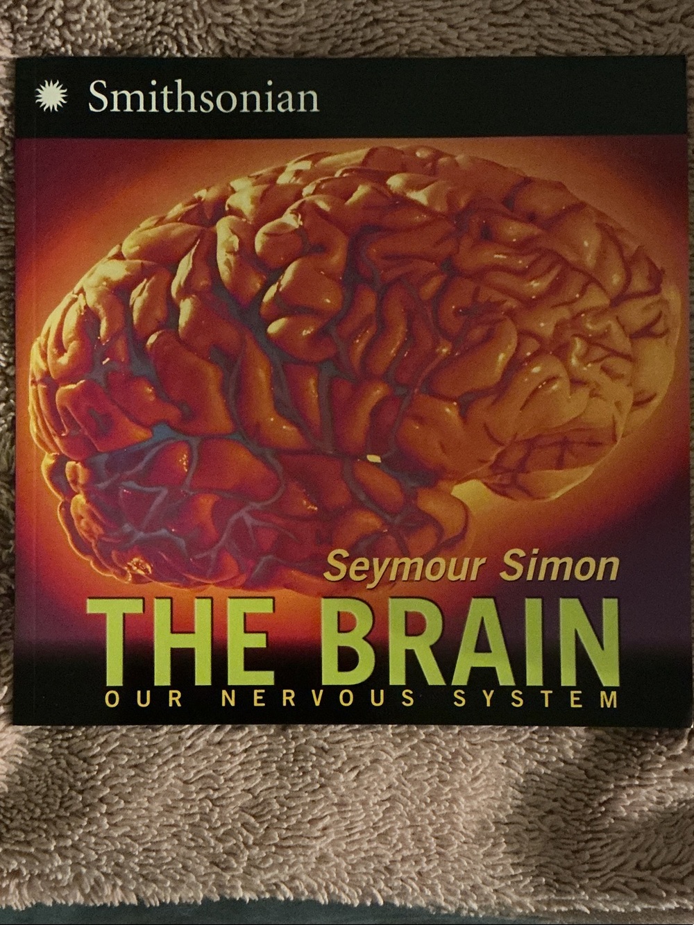 Seymour Simon "The Brain" Smithsonian Book - Yellow & Orange Softcover